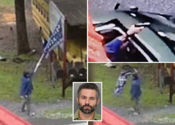 Diminutive accountant tears down NC local's Trump sign, shoots up his house: cops