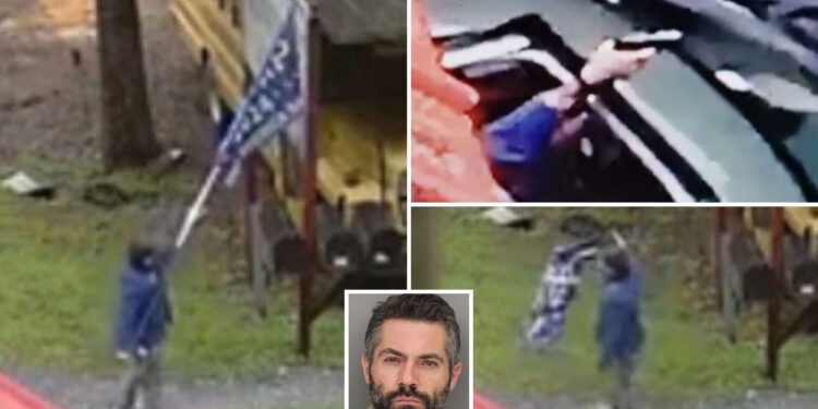Diminutive accountant tears down NC local's Trump sign, shoots up his house: cops