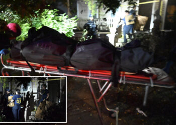 Disturbed Staten Island teen who allegedly decapitated mom’s boyfriend told sister ‘I did something bad’ when she arrived home to find him bloodied