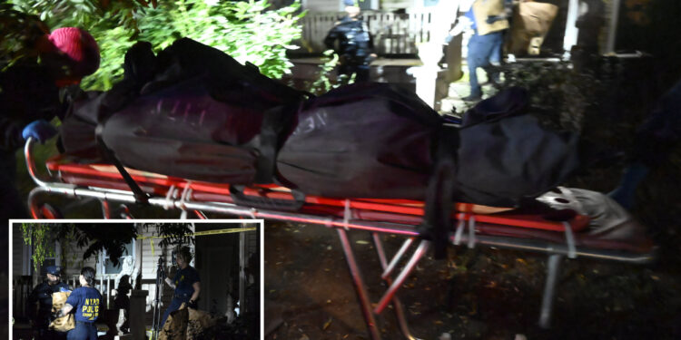 Disturbed Staten Island teen who allegedly decapitated mom’s boyfriend told sister ‘I did something bad’ when she arrived home to find him bloodied