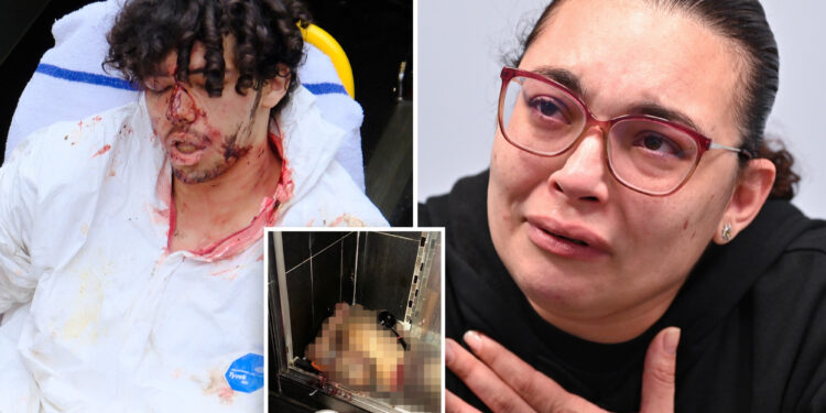 'Do you want her to live?' SI teen suspect's chilling question after allegedly beheading mom's boyfriend