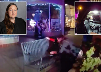 Drunk judge caught with her pants down peeing in public — as cops haul away interfering husband