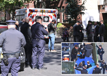 Human head, torso found dumped in trash bag in Brooklyn
