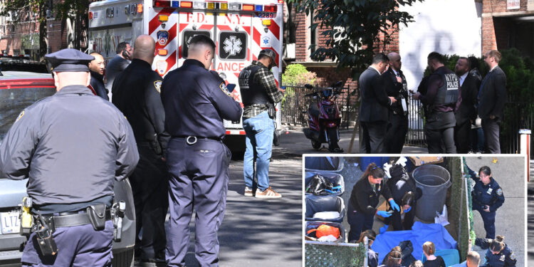 Human head, torso found dumped in trash bag in Brooklyn