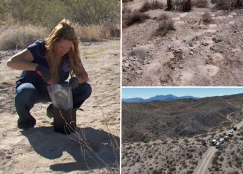 Hundreds of cremated human remains discovered, recovered from Nevada desert