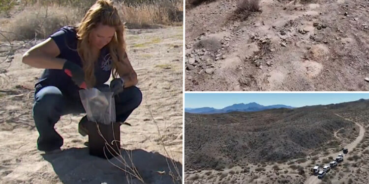Hundreds of cremated human remains discovered, recovered from Nevada desert