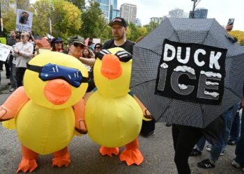 A photo shows two protesters in yellow inflatable duck costumes standing next to a person holding an open umbrella that has the words "Duck ICE" on it at a protest outdoors.