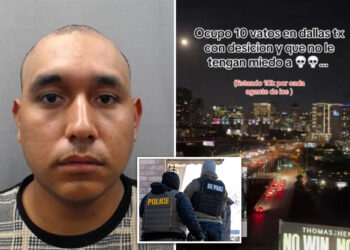 Illegal migrant on TikTok offers $10K for every ICE agent killed: feds