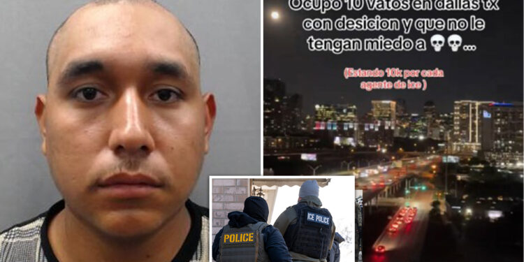 Illegal migrant on TikTok offers $10K for every ICE agent killed: feds