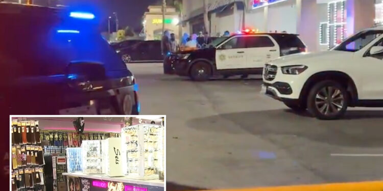 LA customer shoots dead alleged creep who groped shopper and threatened to kill everyone inside beauty store