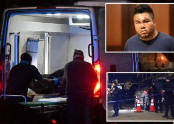 Once-idyllic section of Queens sees murders rise 62% in just a year