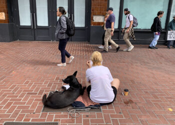 San Francisco wants Trump's help on crime