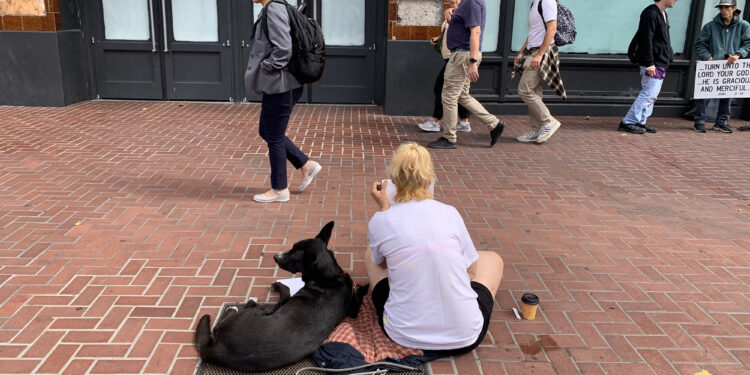 San Francisco wants Trump's help on crime