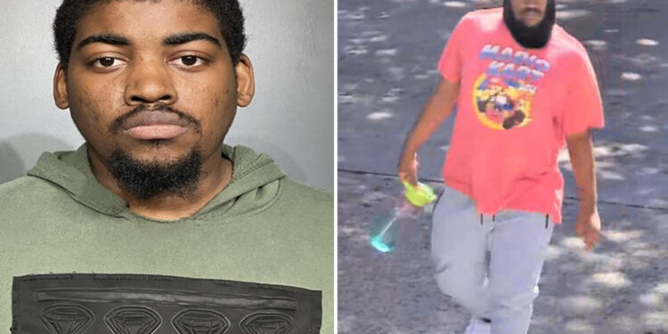 Serial creep tried to rape girl, 12, inside NYC apartment building -- just a week after being cut loose in similar attacks