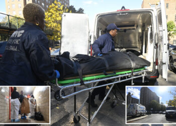 Wacko stabs roommate to death in fight over 'living situation' in NYC project: cops