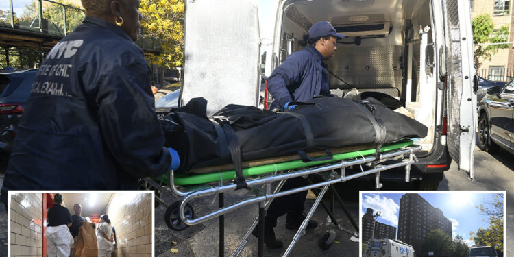 Wacko stabs roommate to death in fight over 'living situation' in NYC project: cops