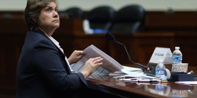 ‘To Scare People to Death’: Former ICE Director Reviews Trump’s Immigration Tactics