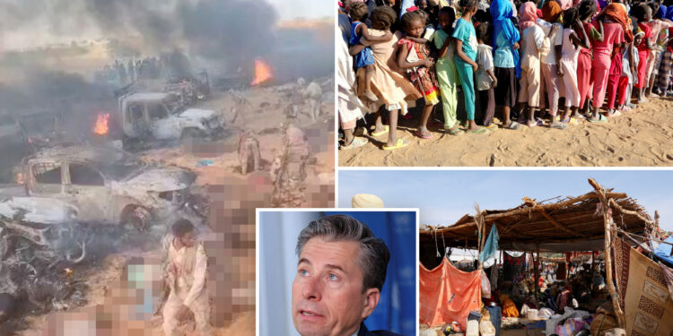 Aid chief says UN wants to enter al-Fashir city after reported crimes