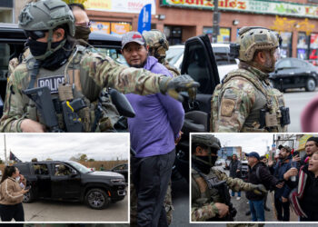 Border patrol chief Greg Bovino says Chicago violence is 'off the charts'