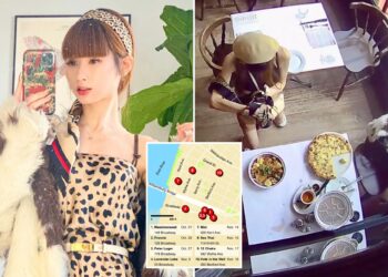 Brooklyn's dine-and-dash diva may face deportation after overstaying her visa: sources