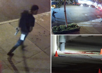 Chilling footage shows 'Wild West' moment NYPD cop fatally shoots gun-toting maniac