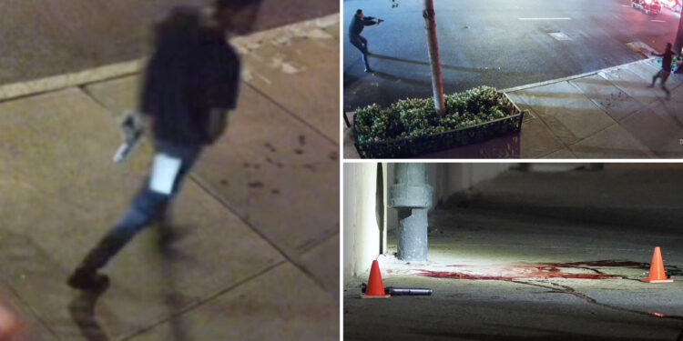 Chilling footage shows 'Wild West' moment NYPD cop fatally shoots gun-toting maniac