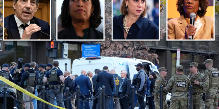 DC National Guard shooting follows months of Democrats' stoking fear about an 'invasion'