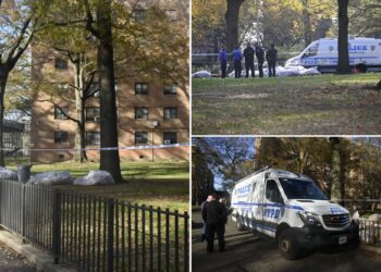 Dead fetus found stuffed in bag, ditched in pile of leaves in NYC