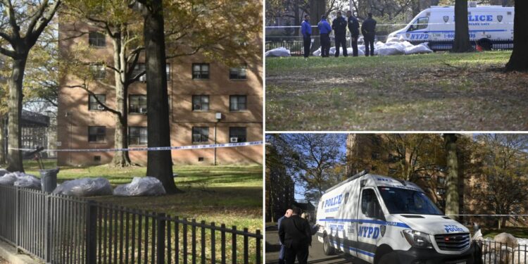 Dead fetus found stuffed in bag, ditched in pile of leaves in NYC