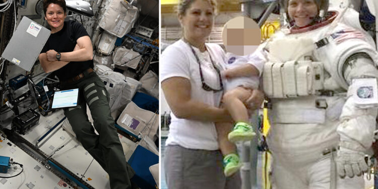 Estranged wife of NASA astronaut pleads guilty to falsely alleging the first crime committed in space