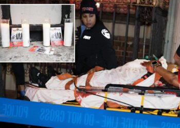 Harlem woman stabbed to death in hallway ambush by 'jealous' ex-boyfriend ID'd as mother of four
