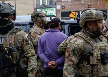 ICE Data on Raids Hidden During Shutdown