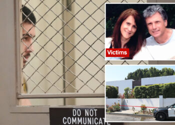 LA junkie charged in slayings of 'American Idol' exec Robin Kaye and husband deemed incompetent to stand trial