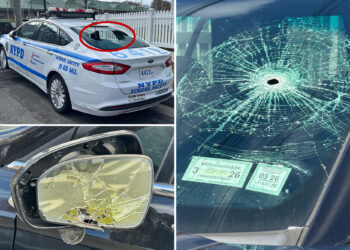Lexus-riding vandal who allegedly smashed up, slashed tires of 11 NYPD vehicles busted, promptly cut loose in court