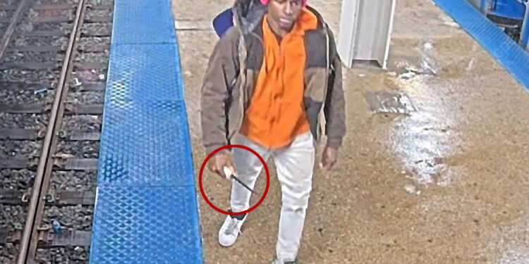 Lunatic stabs woman at Chicago train station 3 months after Iryna Zarutska's murder