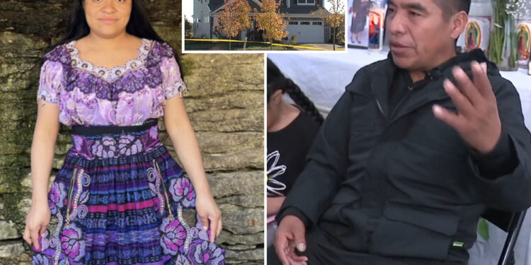 Mom gunned down after arriving at wrong home for cleaning job was shot in the head through the door: cops