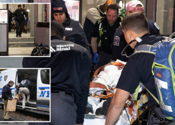 NYC mom stabbed '50 times,' left to die by deranged ex who lurked in NYC stairwell for hours: sources