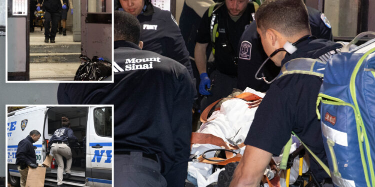 NYC mom stabbed '50 times,' left to die by deranged ex who lurked in NYC stairwell for hours: sources