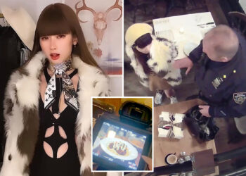 NYC's accused dine-and-dash diva ordered to undergo psych evaluation by judge