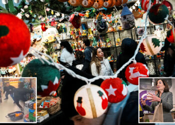 Shoplifting down 13% in NYC and across the state after retail theft crackdown: Hochul