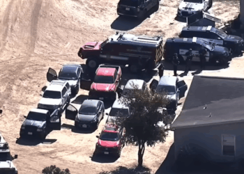 Three employees of a landscape supply business in Texas were fatally shot on Nov. 8, 2025 in San Antonio.