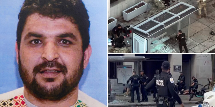 Top Trump intel official reveals DC terror suspect Rahmanullah Lakanwal wasn't vetted for entry to US