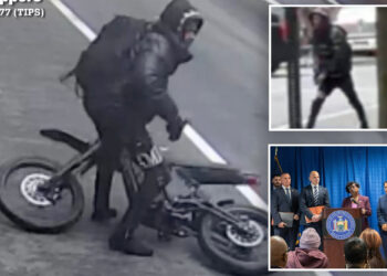 Trinitarios gang members busted on gunpoint robbery spree