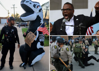 Trump says Chicago crime has fallen dramatically despite 'extraordinary resistance' from local Democrats