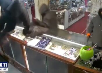 Video shows the thieves smashing the counter glass and filling up bags with merchandise.