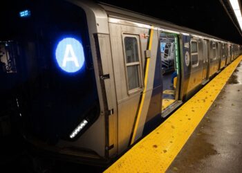 An A train is seen stopped in the Manhattan bound track at the Cohancy and N Conduit Ave. subway station in Queens, Monday, Oct. 13, 2025. A tree fell across the tracks at the next station briefly interrupting service while MTA workers removed it.