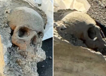 Workers find 'skull' encased in concrete at Boston pier, sparking mob hit fears