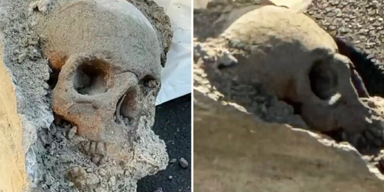 Workers find 'skull' encased in concrete at Boston pier, sparking mob hit fears