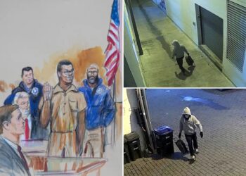 DC pipe bomb suspect admits to planting devices outside DNC, RNC: sources