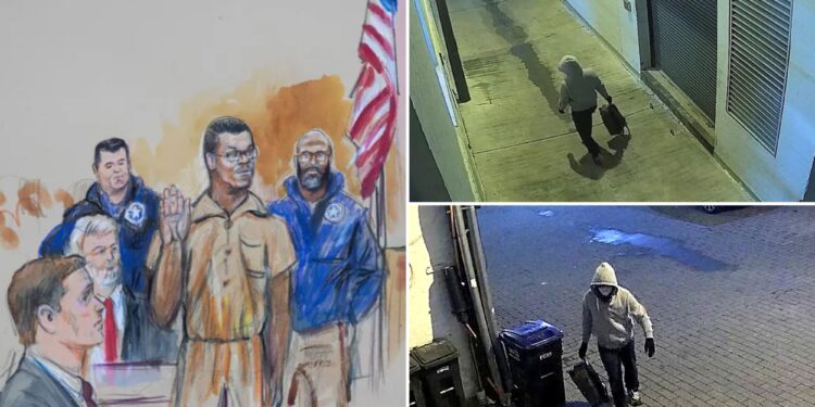 DC pipe bomb suspect admits to planting devices outside DNC, RNC: sources